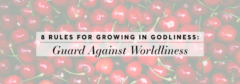 Guard Against Worldliness