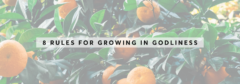 8 Rules for Growing in Godliness