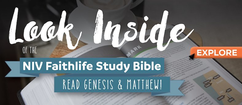 The Importance of Staying Curious in Bible Study