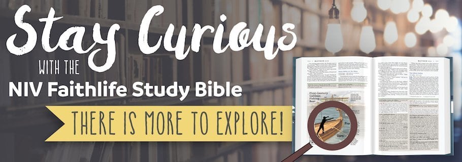 The Importance of Staying Curious in Bible Study