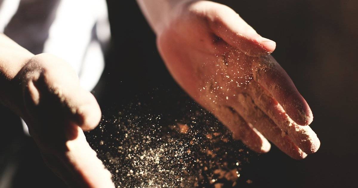 6 Very Good Reasons to Consider Your Short Little Life