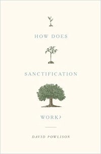 How Does Sanctification Work