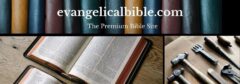 Gods Providence in the Story of the Premium Bible Marketplace
