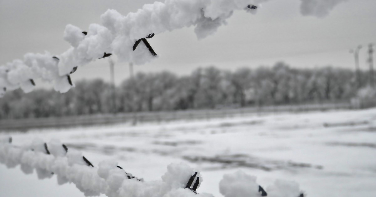 Snow on Barbed Wire