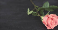 The Problem with Falling in Love