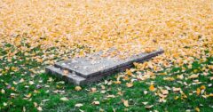Death Grave