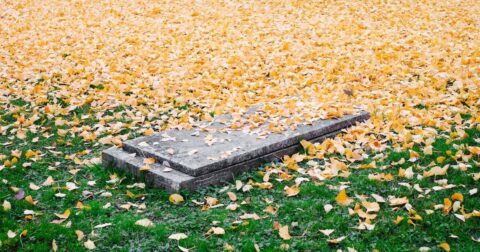 Death Grave