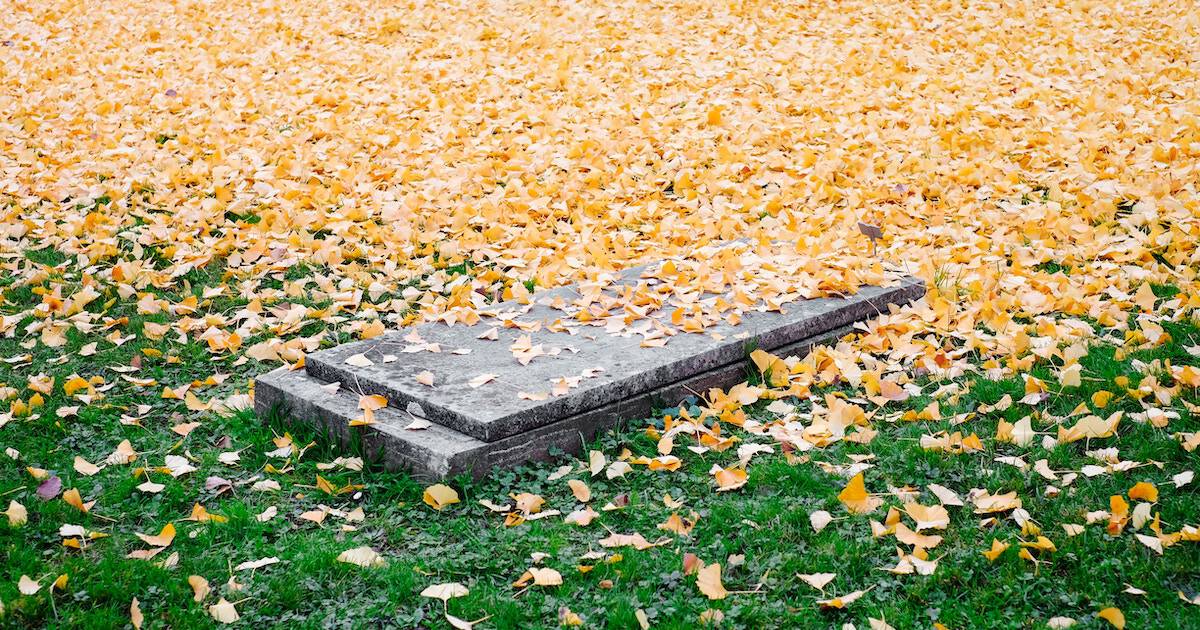 Death Grave