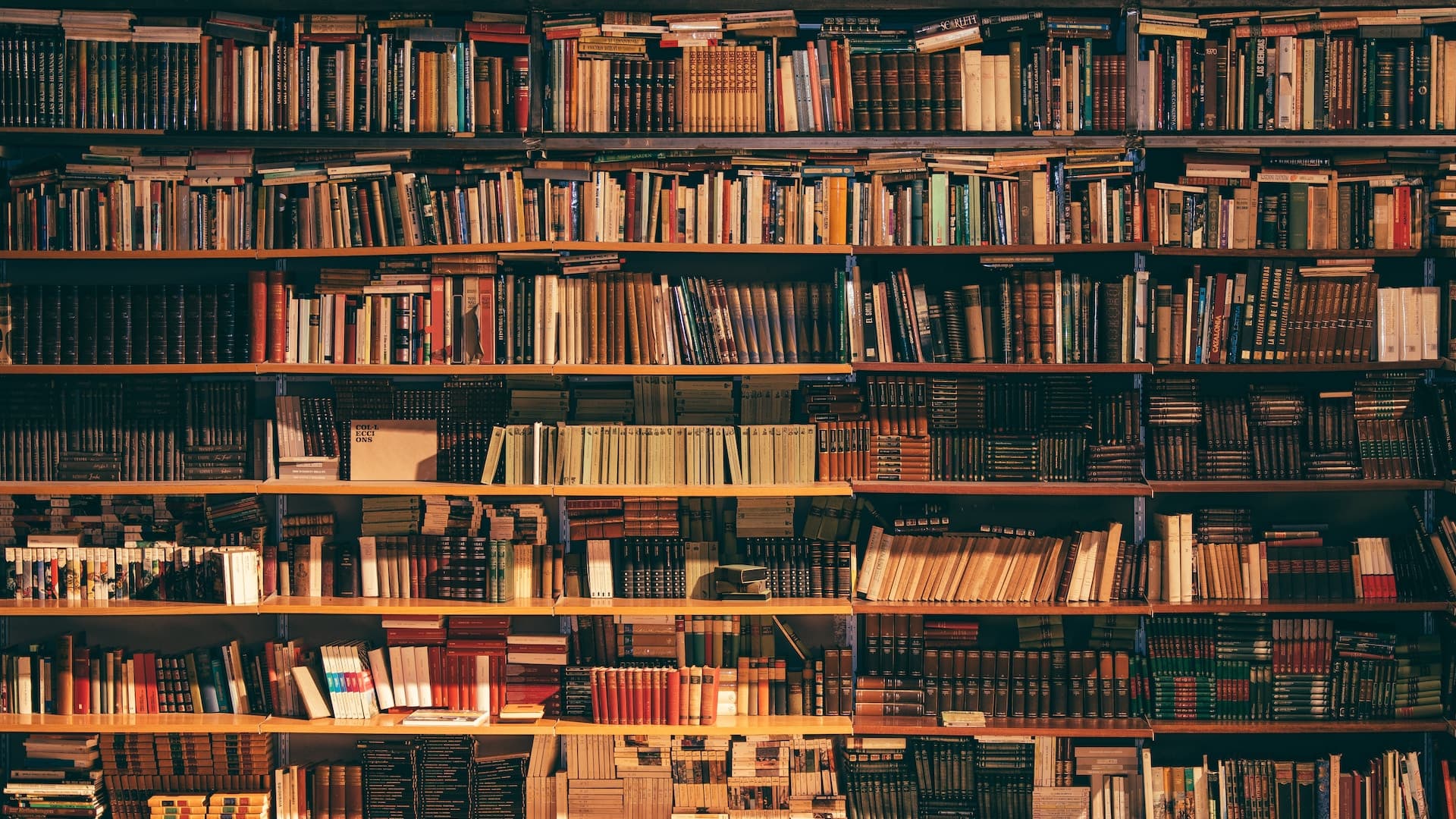 Have You Read a Book Yet This Year