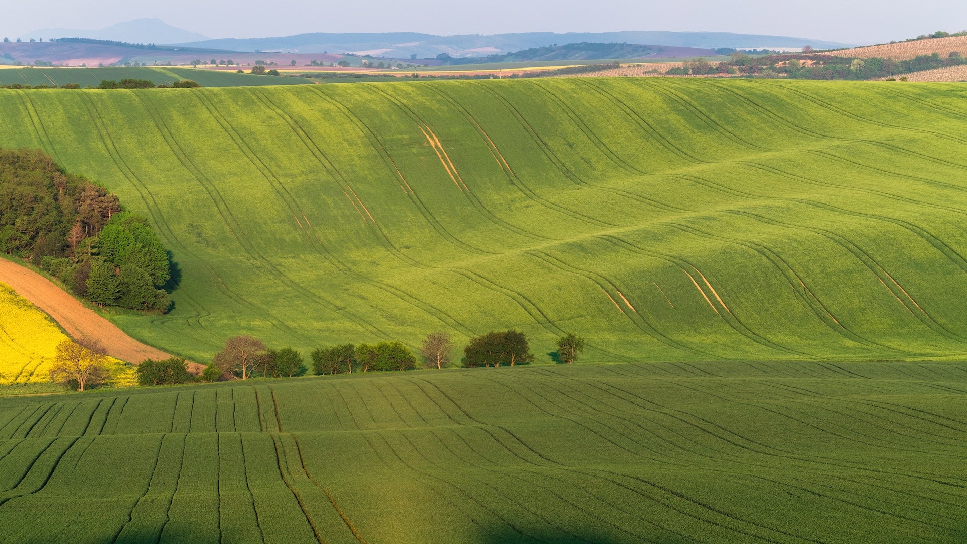 Extending the Borders and Enlarging the Territory