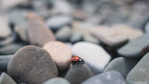 The Freedom of Embracing My Weaknesses