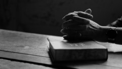 Cognitive Decline and Common Faults