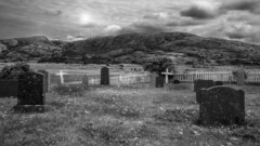 The Dark Shadow on the Short Grave