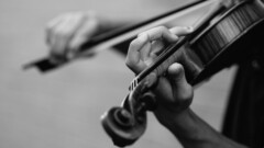 Virtuoso