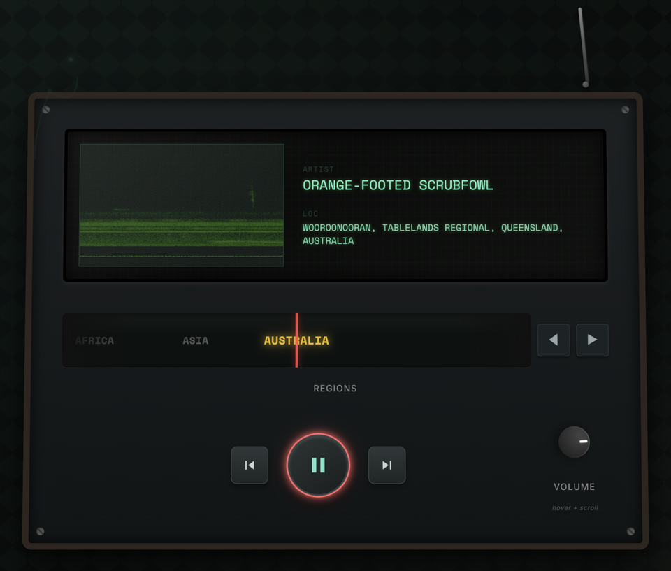 Bird Radio