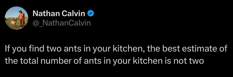 Ants